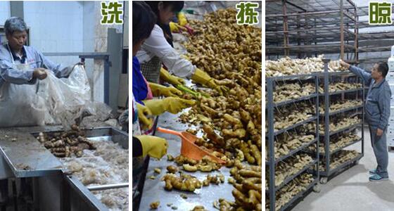 不用硫磺如何清洗生姜？